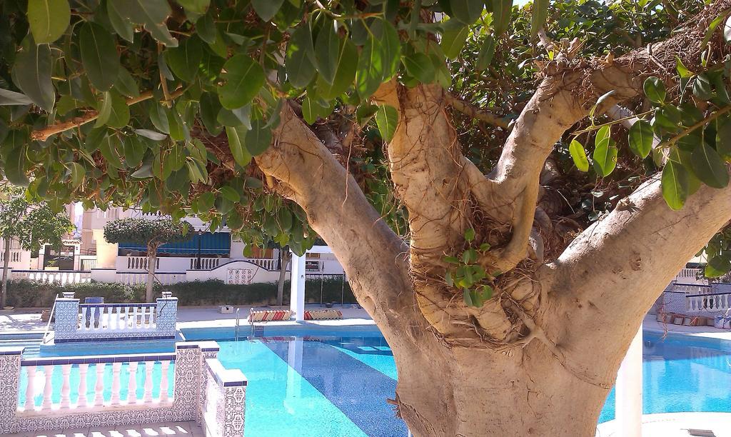 Apartmán La Mata Vinamar Exteriér fotografie